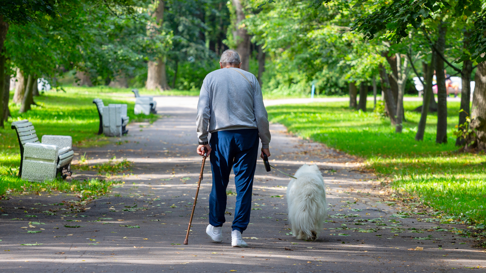 Biraz hızlı yürümek yaşlılara hareket esnekliği sağlayabilir