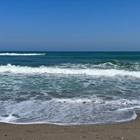 Sinop’ta bazı sahillerde denize girilmesi yasaklandı – Güncel haberler