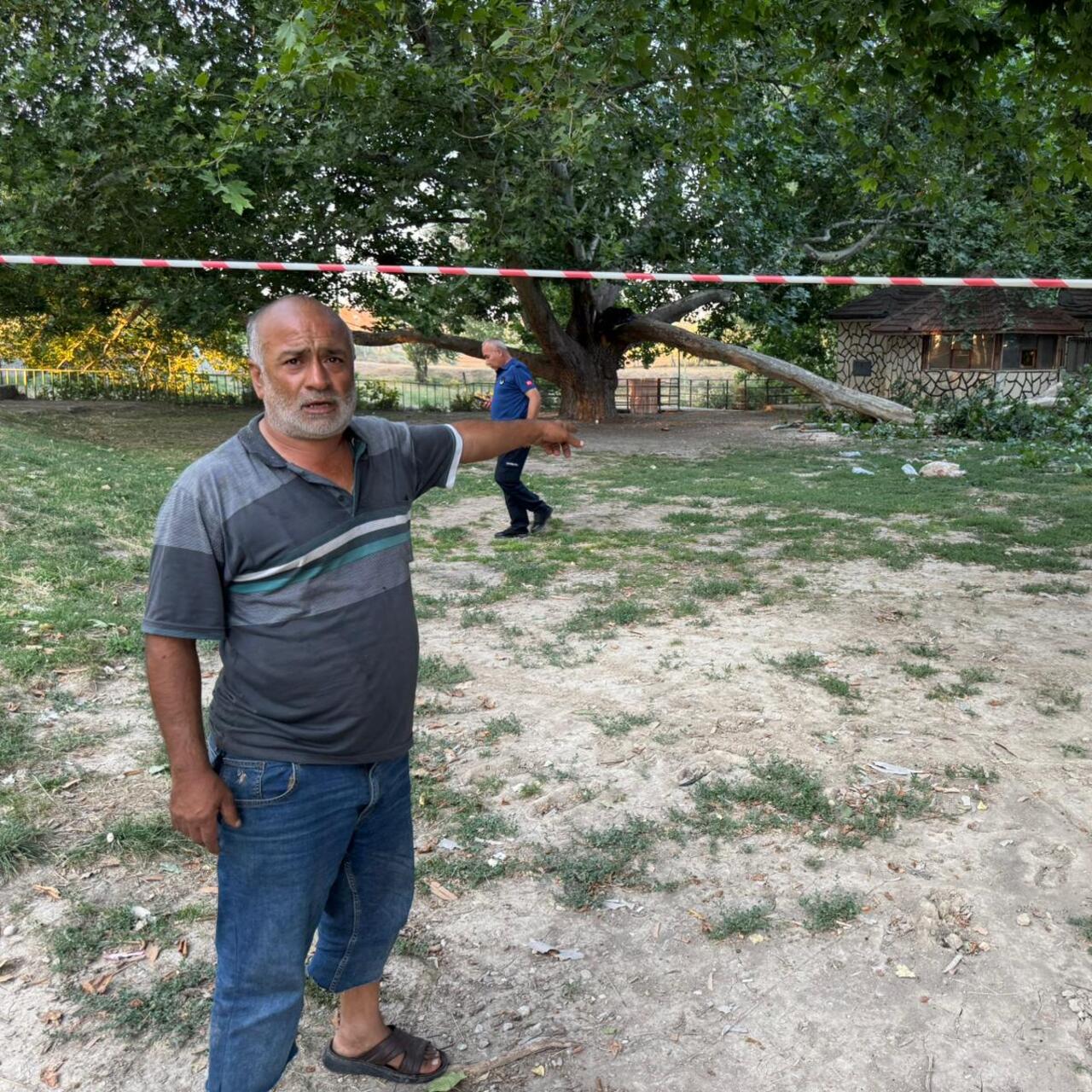 Dev ağaç dalı 11 kişiyi hastanelik ettik!