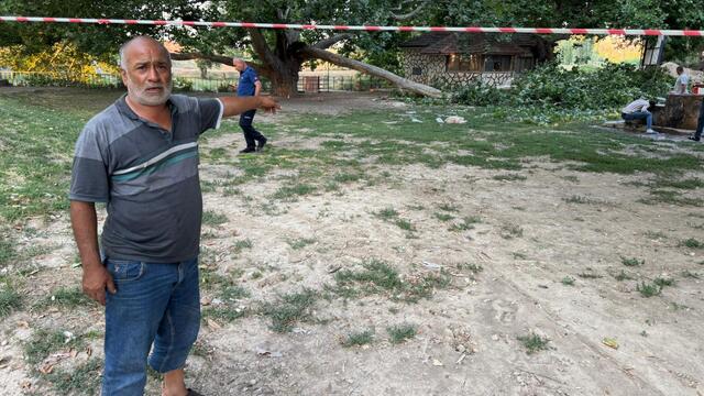 Dev ağaç dalı 11 kişiyi hastanelik etti!