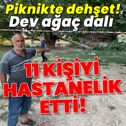 Dev ağaç dalı 11 kişiyi hastanelik etti!