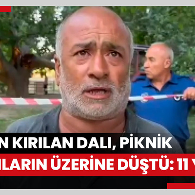 Ağacın kırılan dalı, piknik yapanların üzerine düştü: 11 yaralı