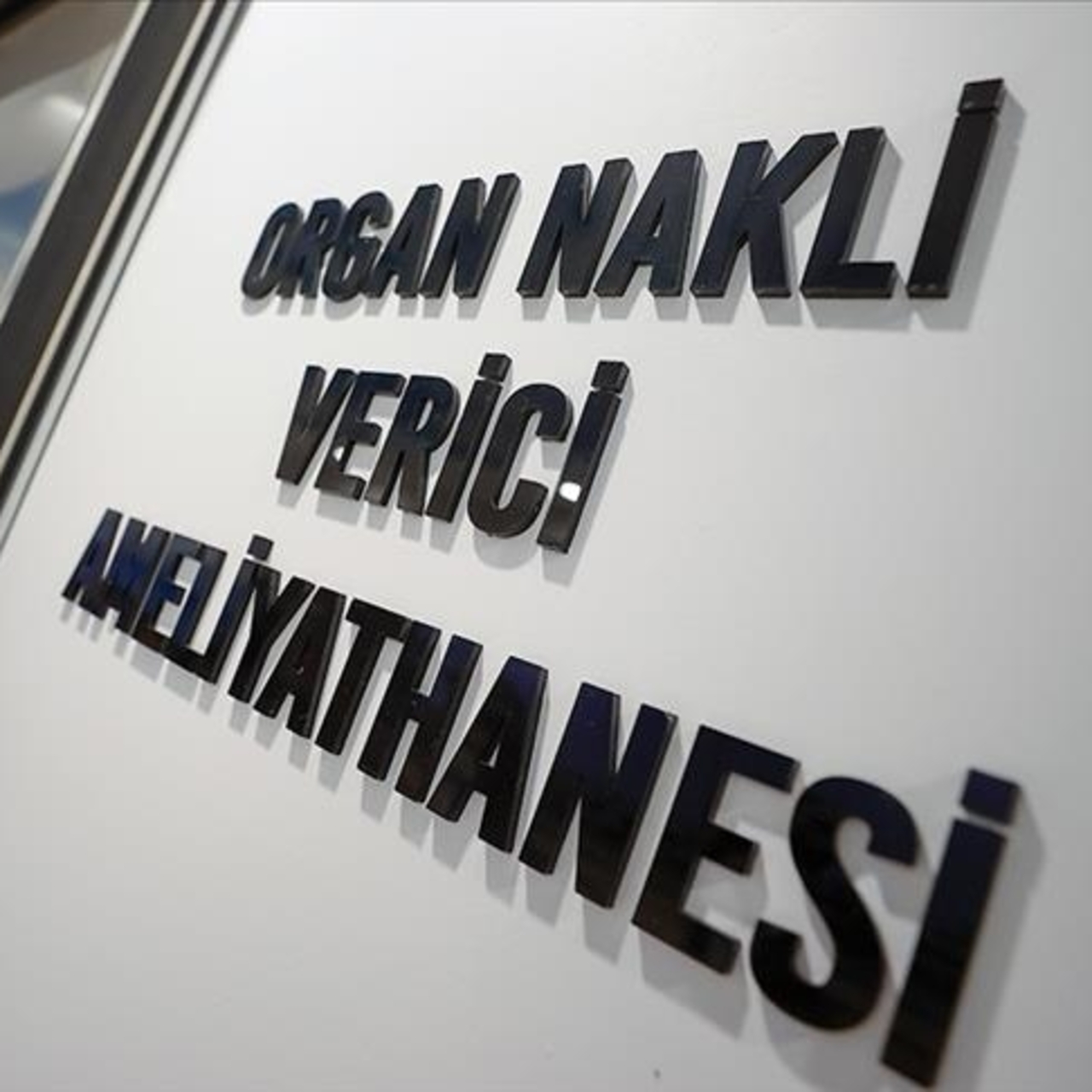 Canlı vericili nakillerde dünyada birinciyiz