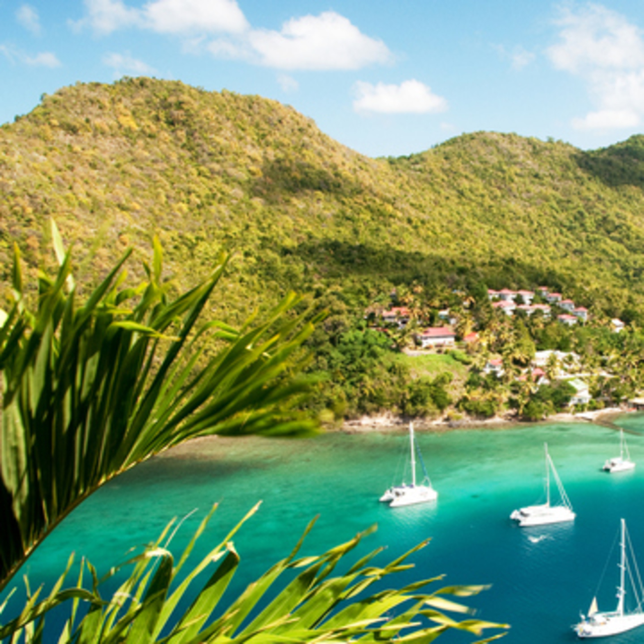 Saint Lucia telefon kodu