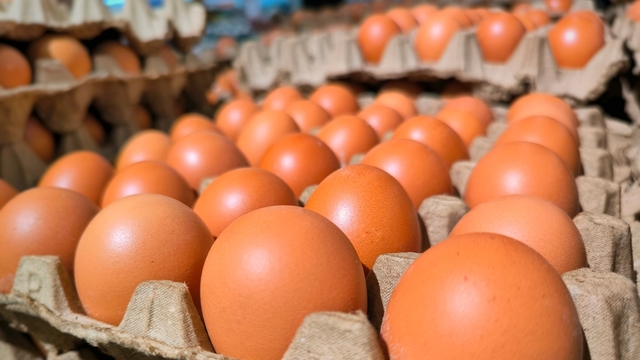 Yumurta satışında yeni dönem