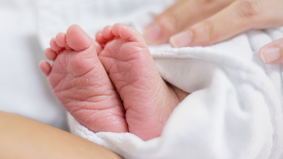 Sağlık Hak-Sen'den doğum yardımı müjdesi