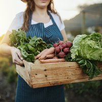 Yazın serinleten ve şifa dağıtan sebzeleri