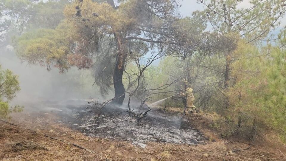 Yıldırım nedeniyle ormanlık alanda iki yangın