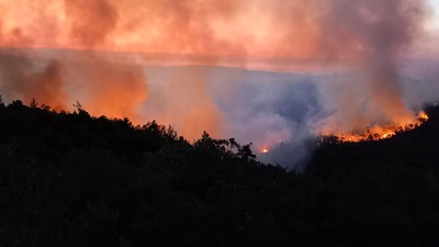 Hava sıcaklıkları nedeniyle yangın uyarısı