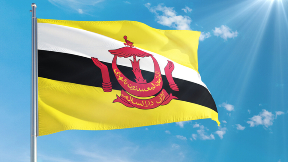 Brunei bayrağı nedir?