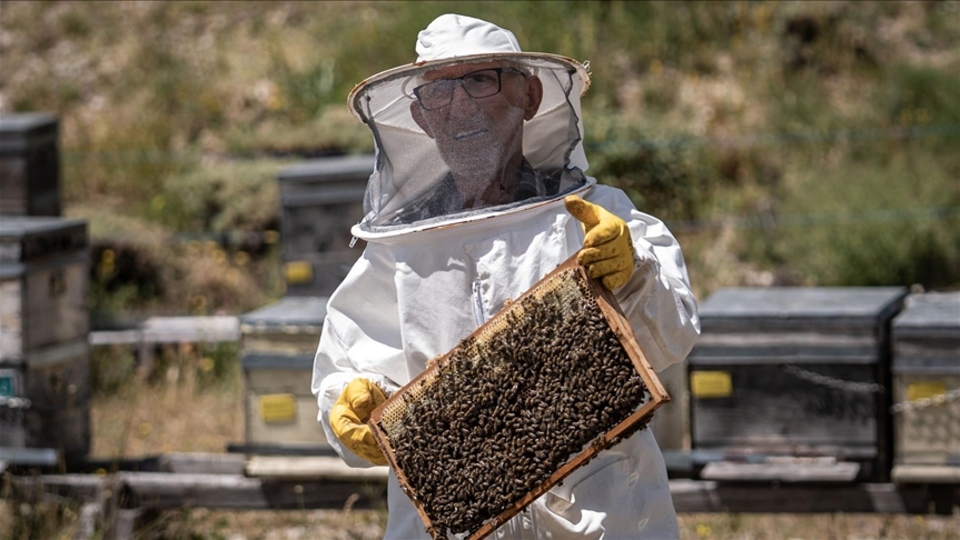 Kanseri yendi! İkinci baharını arılarla yaşıyor