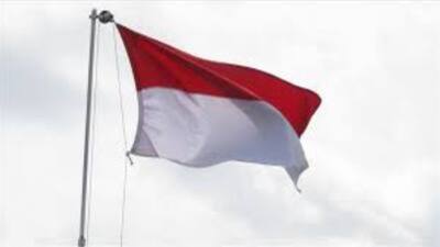 Endonezya bayrağı nedir?