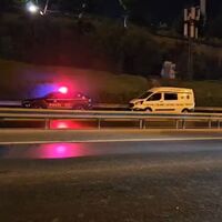 Gaziosmanpaşa’da otoyolda otomobilin çarptığı yaya hayatını kaybetti – Güncel haberler | Son dakika haberleri
