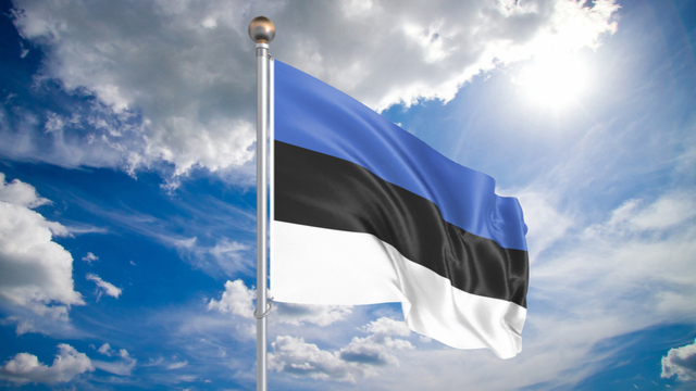 Estonya bayrağı nedir?