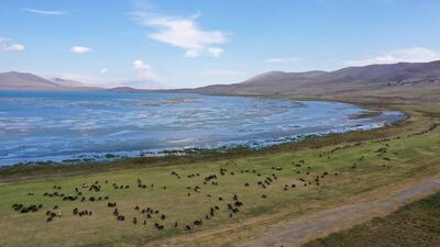 Gölde facia! Serinlemek isterken boğuldu!