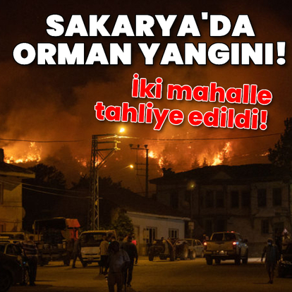 4 ilde alevler yükseldi!