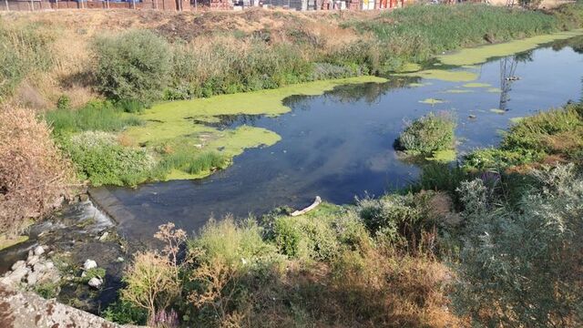 Debisi düştü, yüzeyi yosunla kaplandı
