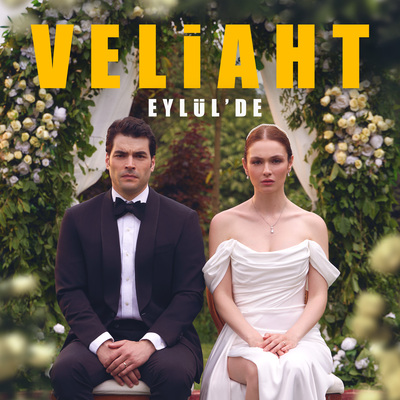 Veliaht dizisi konusu ve oyuncuları