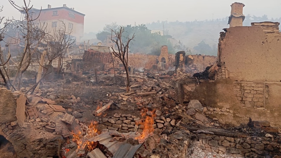 Sakarya'daki yangın Bilecik'e sıçradı!