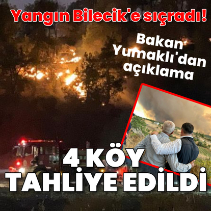 Sakarya'daki yangın Bilecik'e sıçradı!