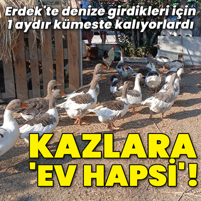 O kazlara 'ev hapsi'