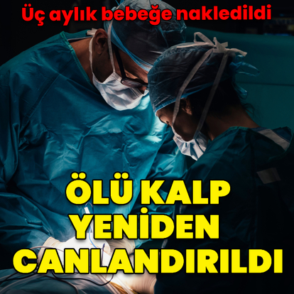 Ölü kalp yeniden çalıştırıldı