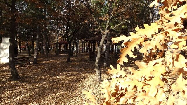 Kütahya'da "ateşli piknik" yasağı