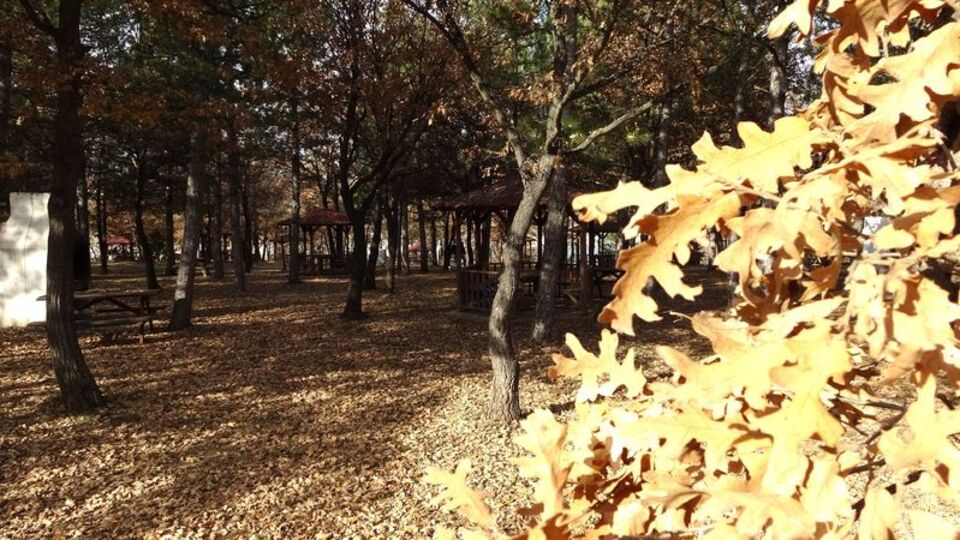 Kütahya'da "ateşli piknik" yasağı