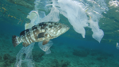 Tehlikesi gözle görülmüyor, hayatı tehdit ediyor!
