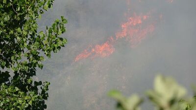 Karabükte orman yangını!