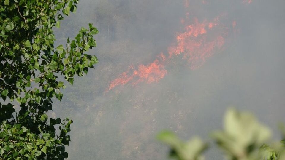Karabükte orman yangını!