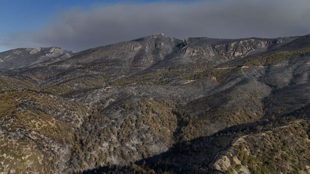 Sakarya'da, Bilecik'te, İzmir'de, Karabük'te ve Eskişehir'de yangın