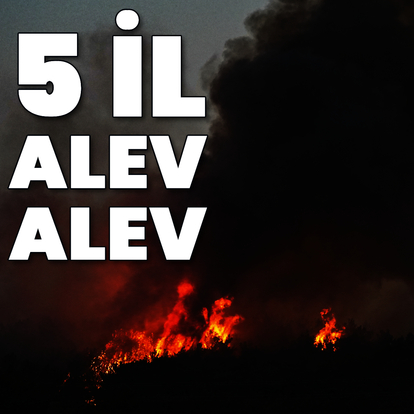 Sakarya'da, Bilecik'te, İzmir'de, Karabük'te ve Eskişehir'de yangın