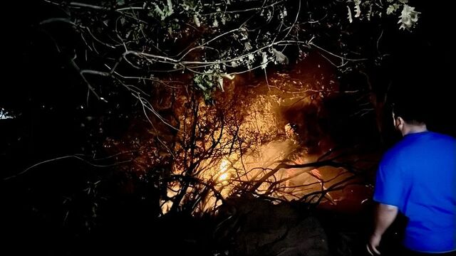 Gebze'de çıkan orman yangını söndürüldü