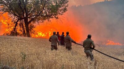 61 orman yangınında 4 tutuklama