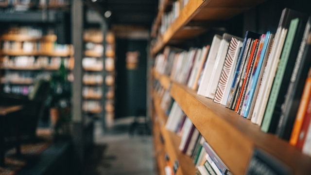 Jakoben modernleşmenin krizi ve İmam Hatipliler