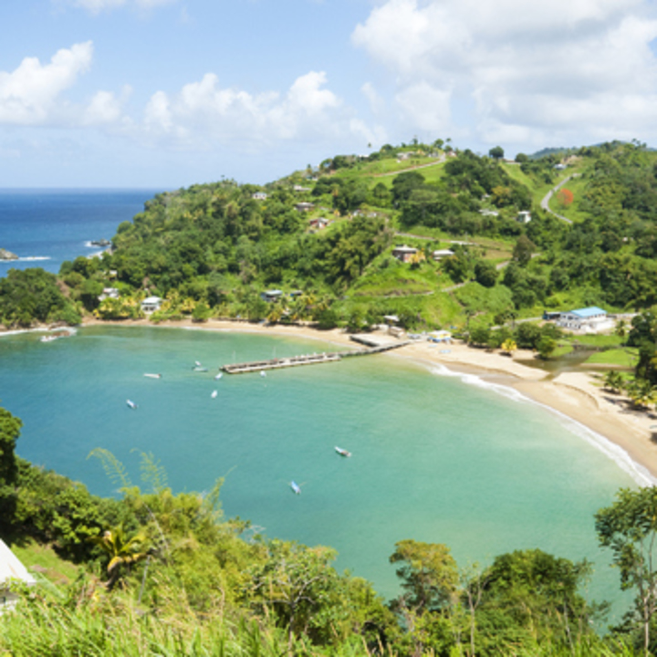 Trinidad ve Tobago telefon kodu
