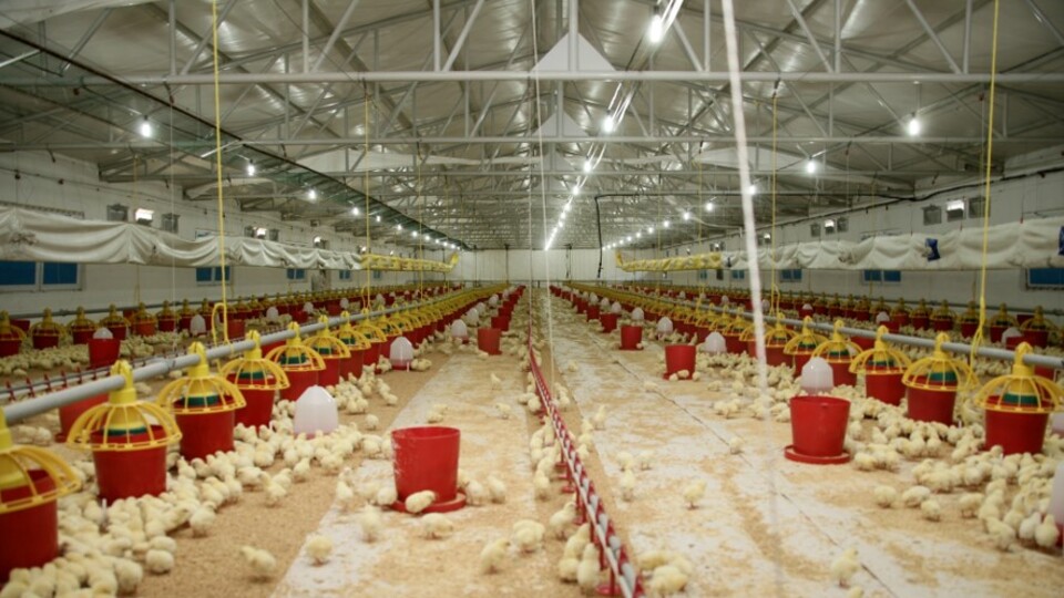 "Yerelde ekonomik hareketlilik sağlıyoruz"