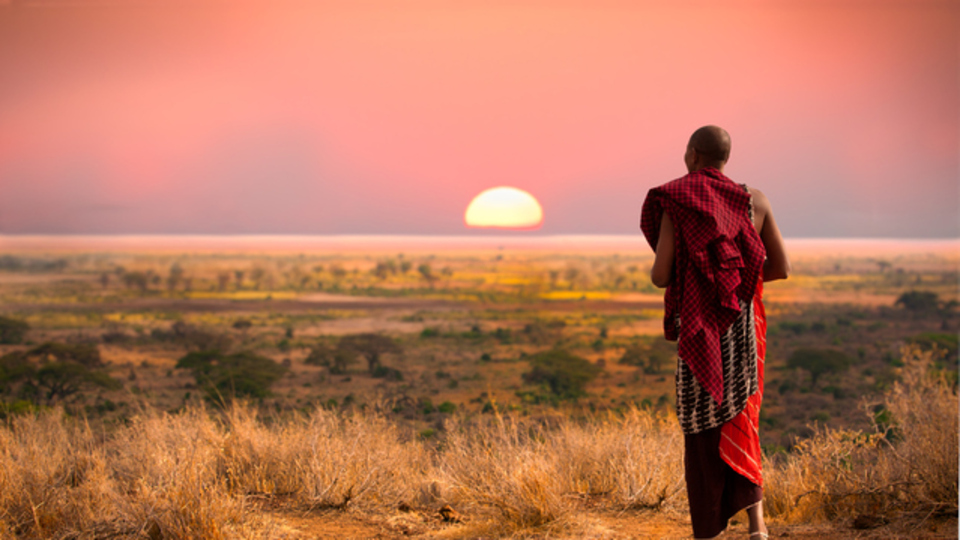 Tanzanya telefon kodu
