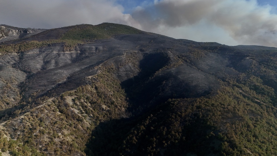 Sakarya'daki yangından geriye kalan...