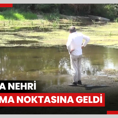 Tunca Nehri’nin kuruma noktasına geldiği Edirne’de, çeltik üreticisi tedirgin