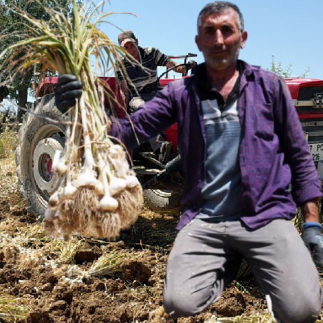 30 yıldır ata tohumundan vazgeçmiyor