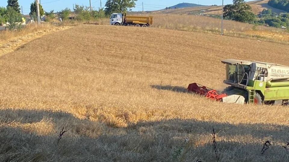 Buğdaylar ihtiyaç sahiplerine dağıtılacak