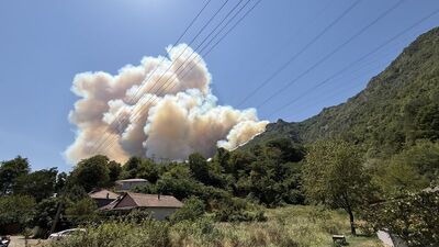 Sakarya, Bilecik, Manisa, İzmir ve Karabük'te orman yangını