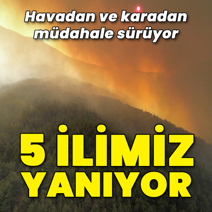 Sakarya, Bilecik, Manisa, İzmir ve Karabük'te orman yangını