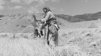 'Karanlık Dünya' sergisi Salt Galata'da