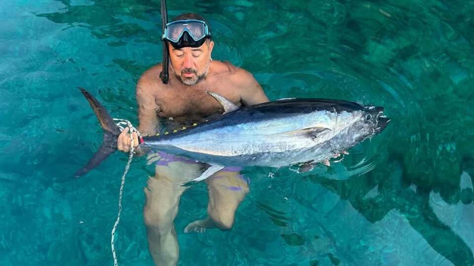 Urla'da orkinos avı