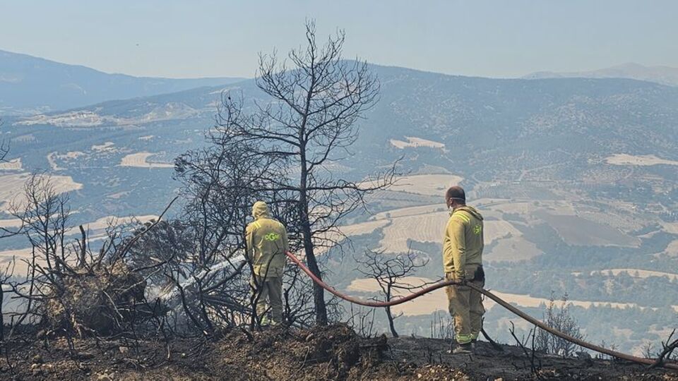 Denizli'de ormanlık alanlara girişler yasaklandı