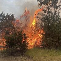 "Başımız sağ olsun"