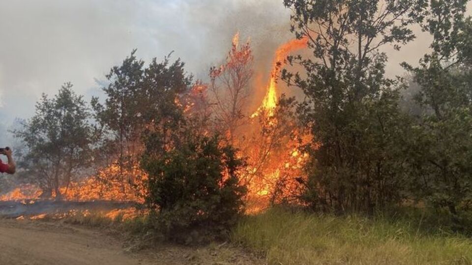 "Başımız sağ olsun"